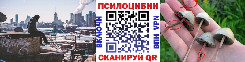 Псилоцибиновые грибы GOLDEN TEACHER  где найти   Болохово 